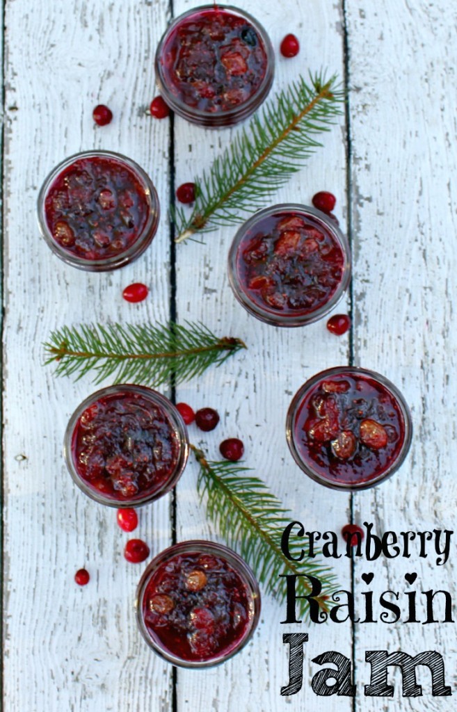 holiday-jams-cranberry-raisin-jam-brighter-657x1024