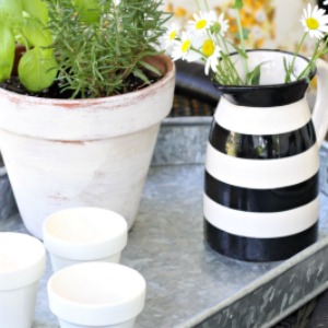 10 minute decorating idea with diy whitewashed planters!