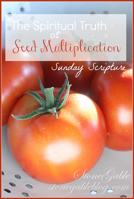 TOO MANY TOMATOES OR THE SPIRITUAL TRUTH OF SEED MULTIPLICATION!