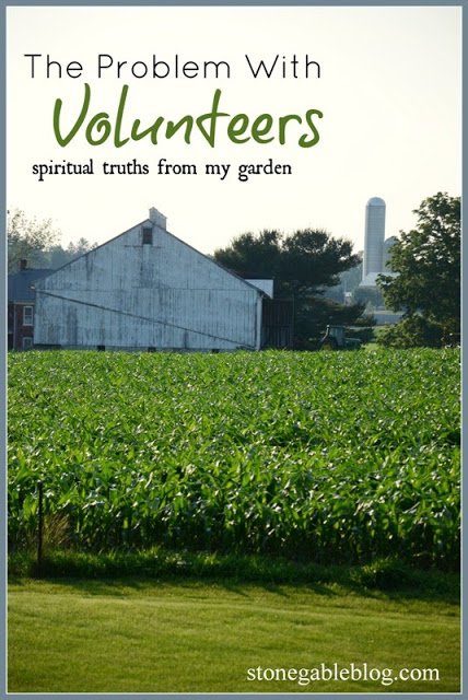 THE PROBLEM WITH VOLUNTEERS~ SUNDAY SCRIPTURE