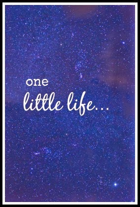 ONE LITTLE LIFE