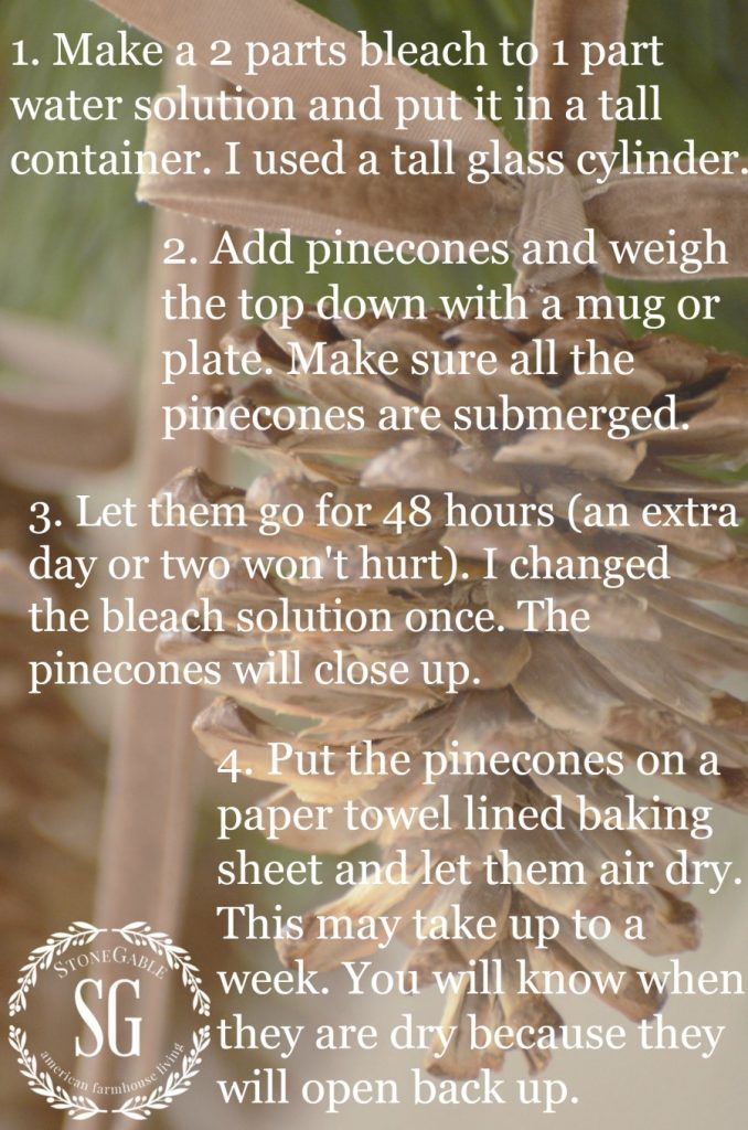BLEACHED PINECONES-instructions-stonegableblog