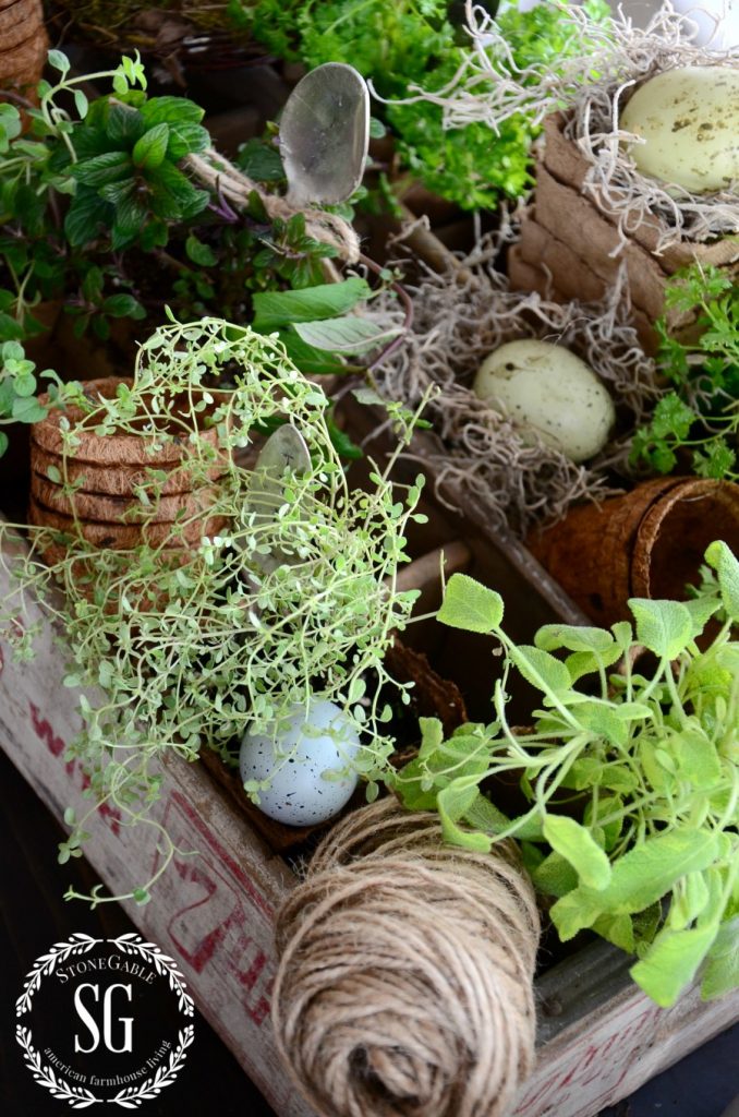 HOW TO ADD SEASONAL DECOR TO YOUR HOME-indoor herb garden-stonegableblog.com