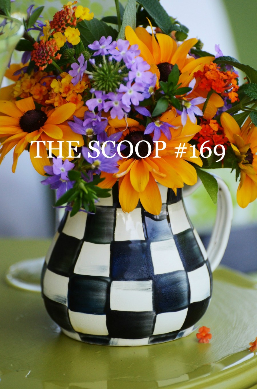 THE SCOOP #169