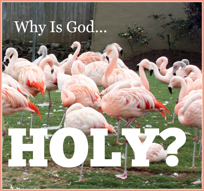 WHY IS GOD HOLY?-6-14-15-stonegableblog.com
