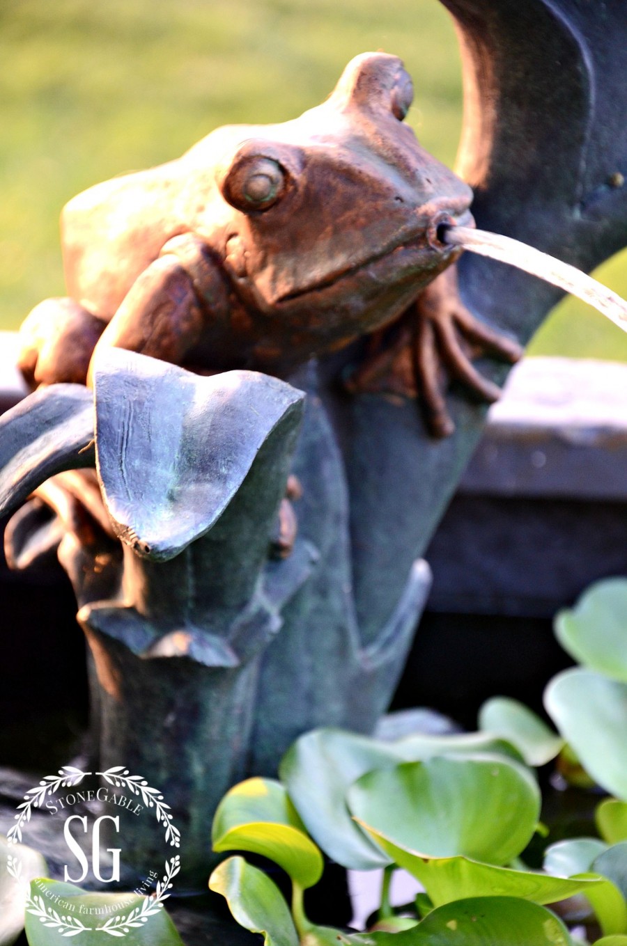 PATIO POND-little frog-stonegableblog.com