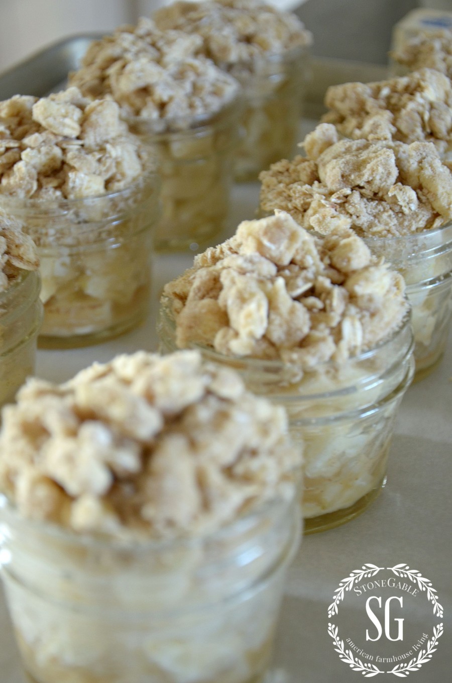 APPLE CRISP IN MASON JARS-Classic, scrumptious apple crisp in cute jars!- A very fun fall dessert-stonegableblog.com