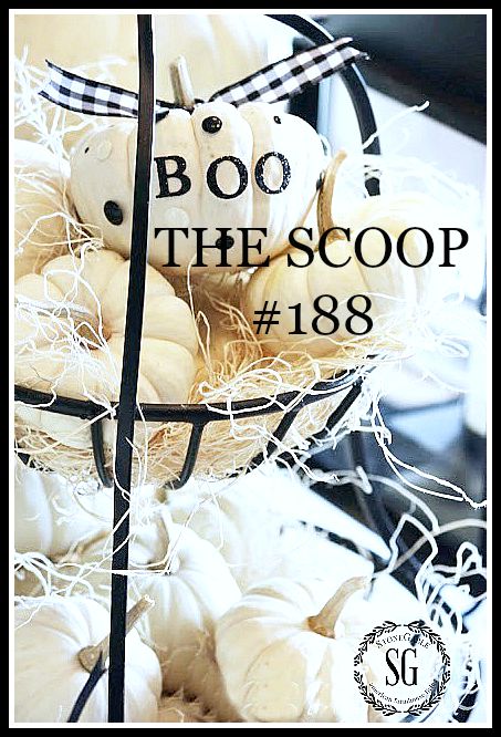 THE SCOOP #188