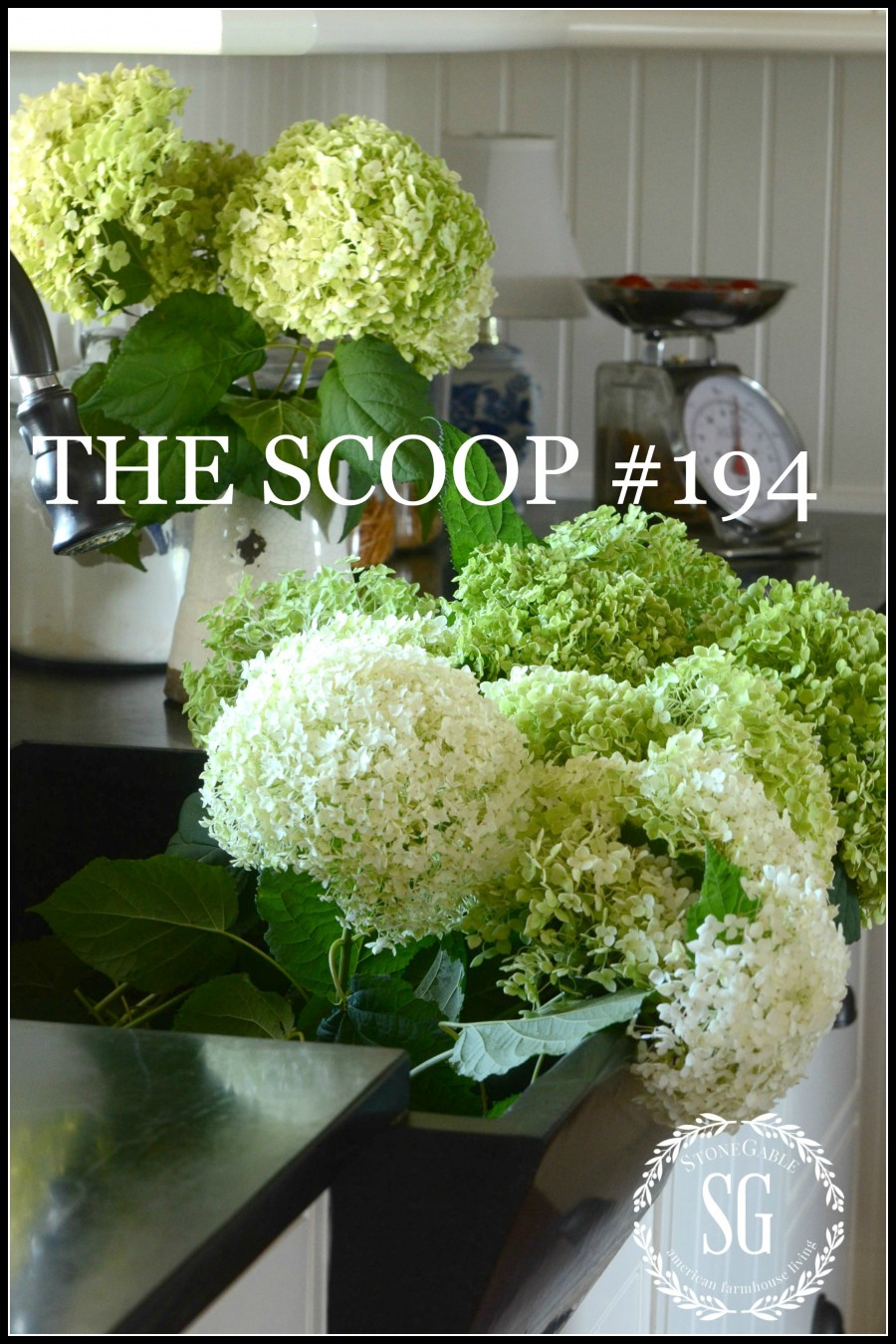 THE SCOOP #194