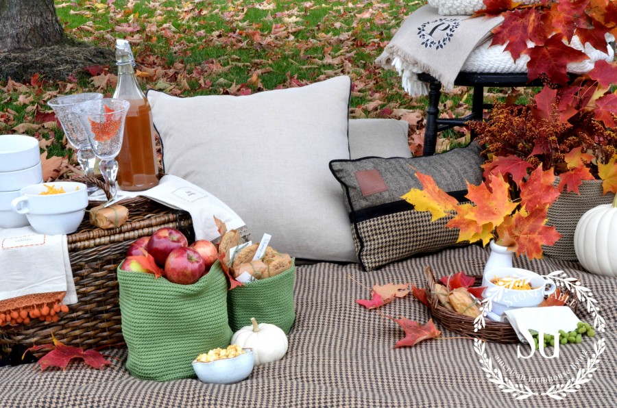 AUTUMN PICNIC in the leaves. Brilliant color and good food are a great mix for a Autumn picnic