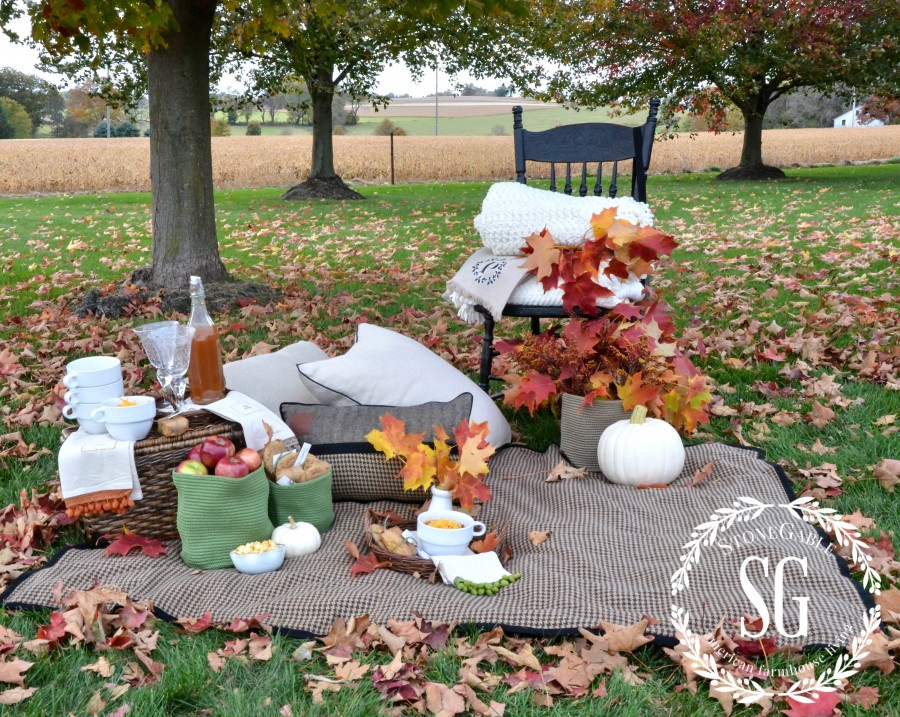 AUTUMN PICNIC in the leaves. Brilliant color and good food are a great mix for a Autumn picnic
