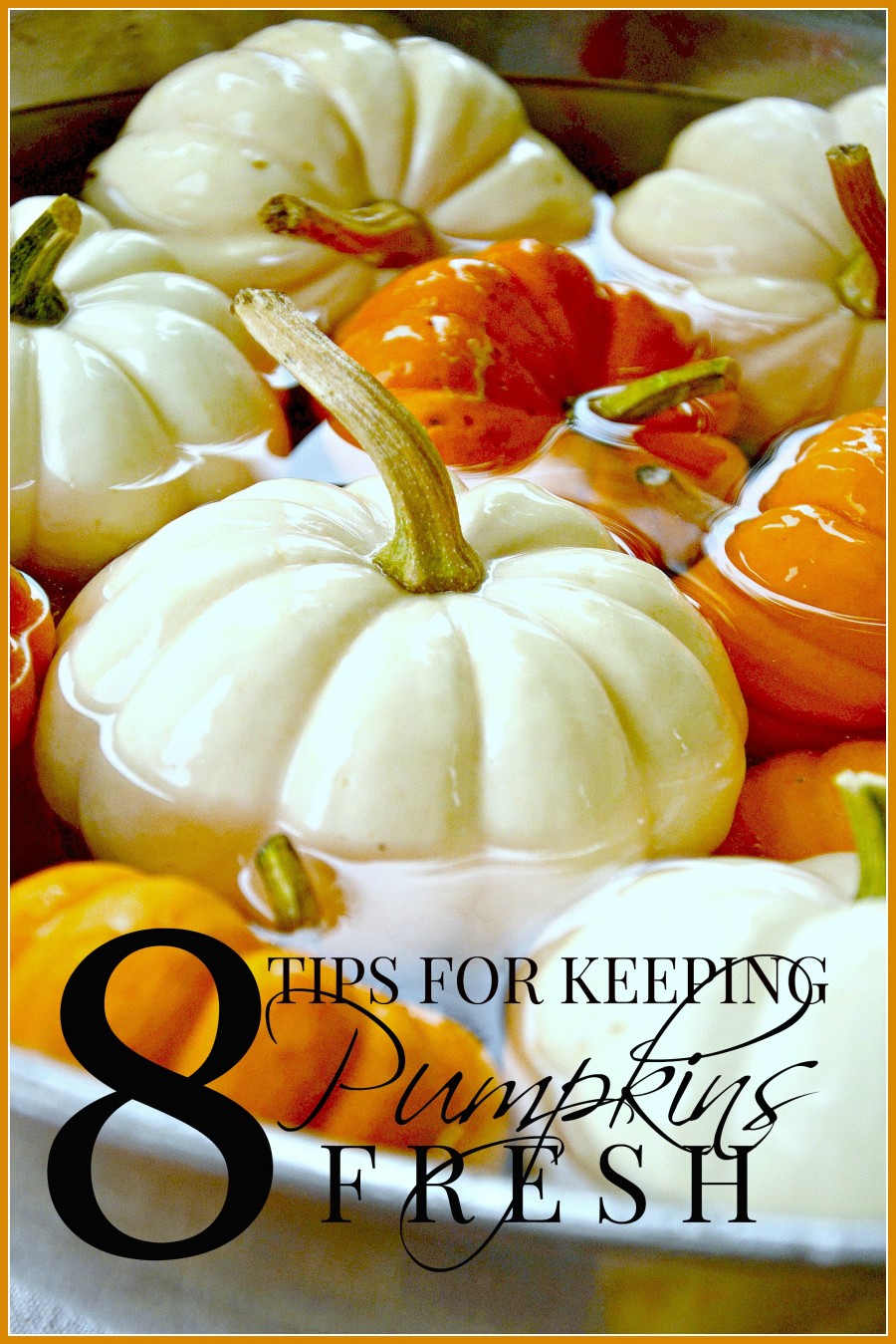 KEEPING PUMPKINS FRESH- Easy tips for keeping pumpkins fresher longer-stonegableblog.com