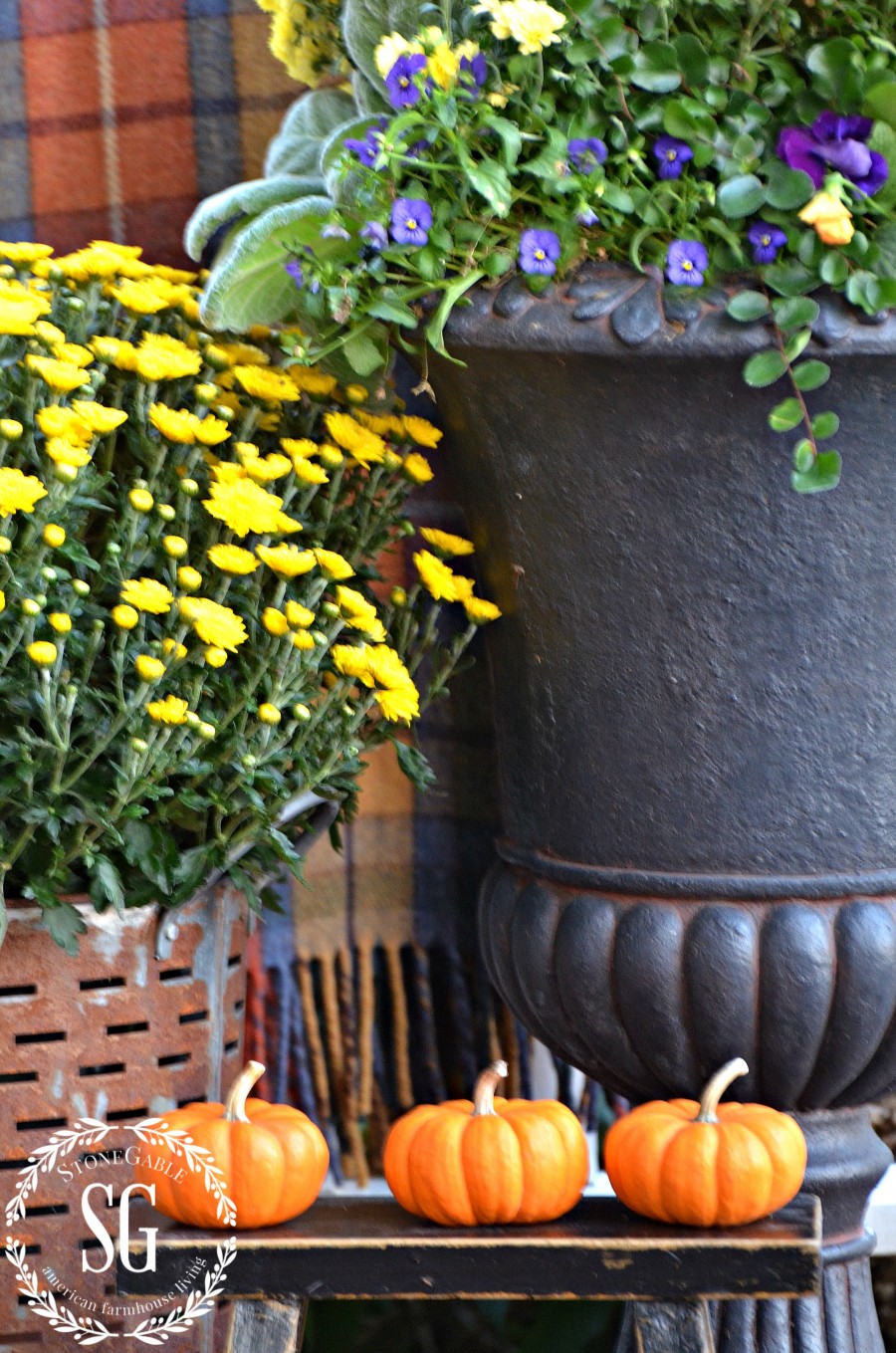 SMALL FALL OUTDOOR SPACES-tall-planter-with-mums-stonegableblog.com