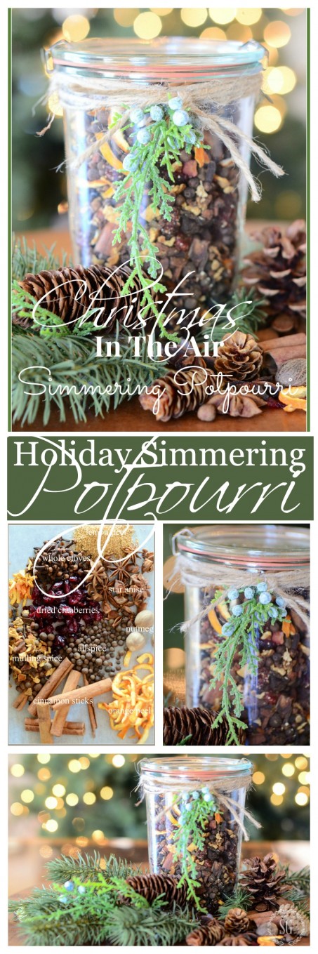 HOLIDAY SIMMERING POTPOURRI- The ingredients are probably in your pantry cupboard!