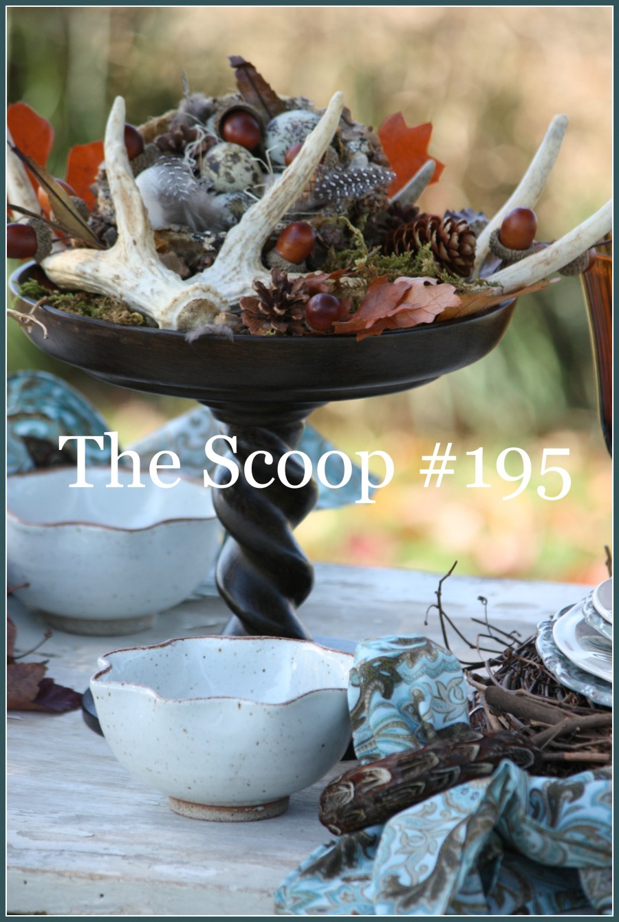 THE SCOOP- Hundreds of creative idea for home and garden!