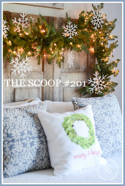 THE SCOOP #201