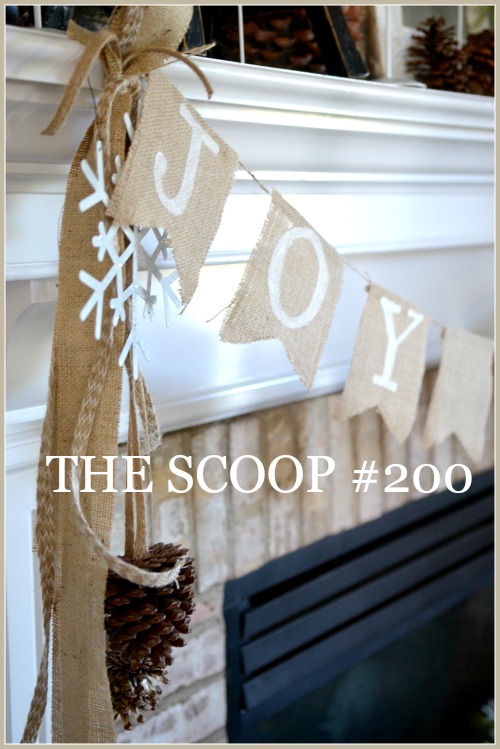 THE SCOOP #200