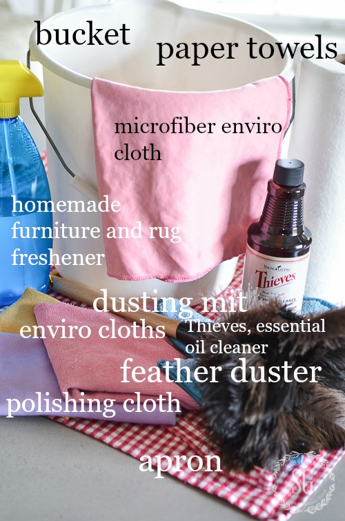 CREATE A HANDY CLEANING CARRYALL- Clean smarter, not harder!