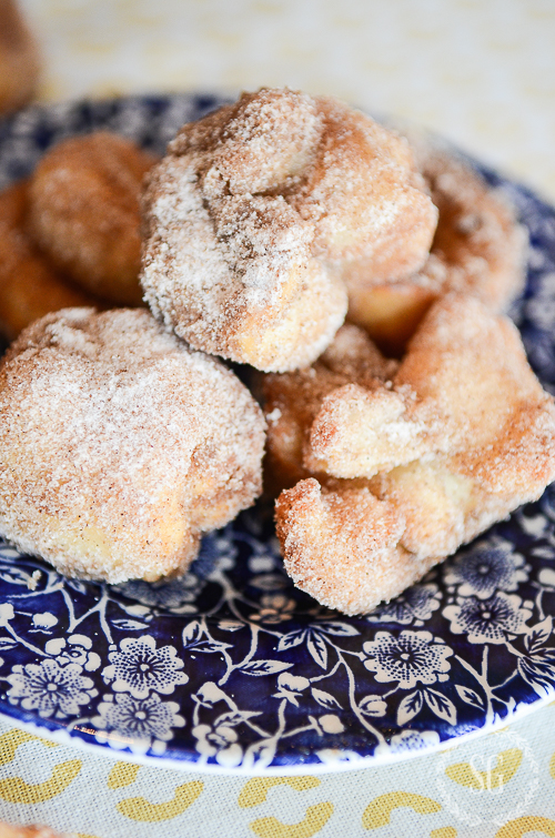 FASNAUCHTS- Scrumptious, easy to make fried dough sweetened with cinnamon sugar.