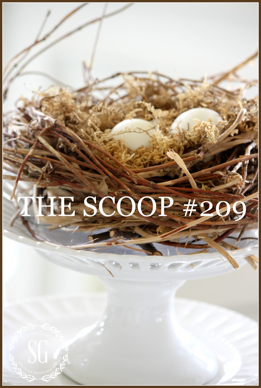 THE SCOOP #209