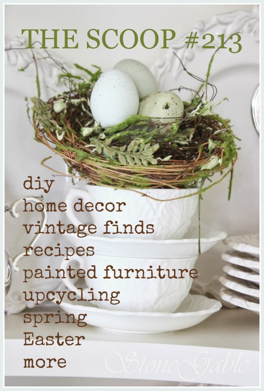 THE SCOOP #213. Hundreds of ideas for home and garden!