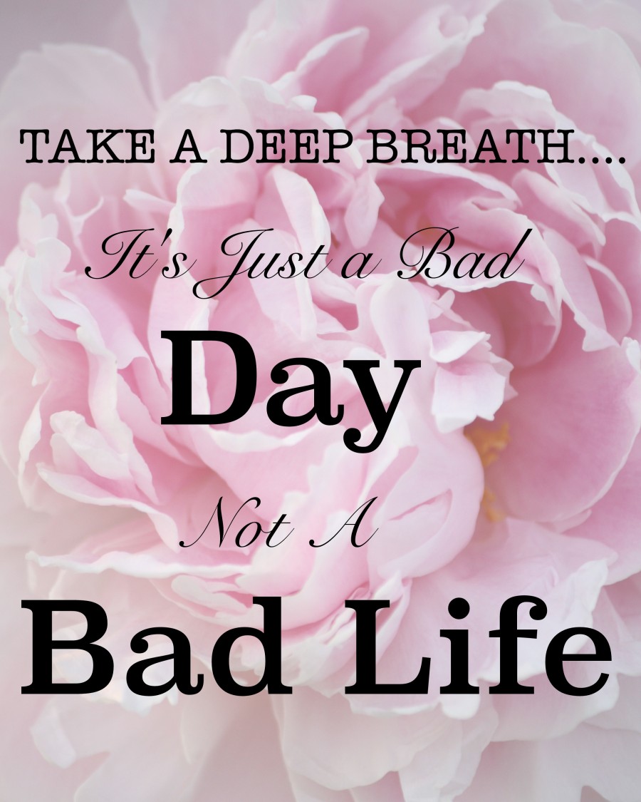 HOW TO SURVIVE A BAD DAY- Not only survive but do it with grace and fortitude