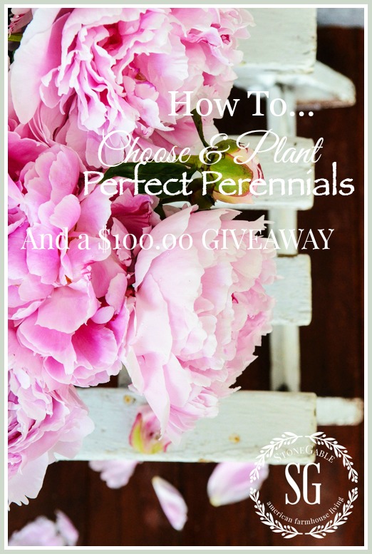 HOW TO CHOOSE AND PLANT PERFECT PERENNIALS AND A $100.00 GIVEAWAY