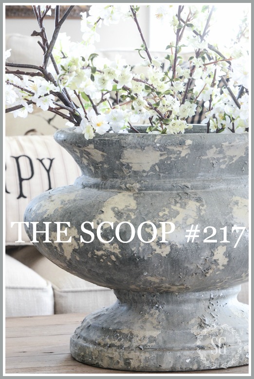 THE SCOOP #217
