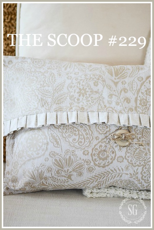 THE SCOOP #229