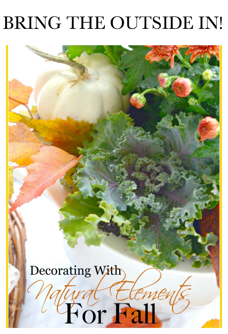 DECORATING WITH NATURAL ELEMENTS FOR FALL