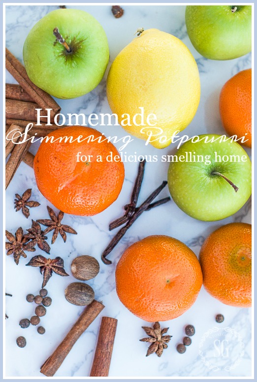 HOMEMADE SIMMERING POTPOURRI- Make a delicious smelling potpourri for your home!