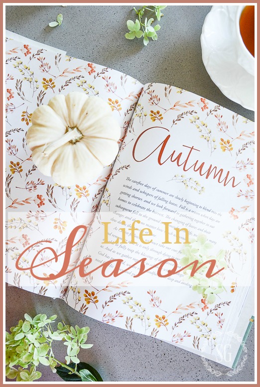 LIFE IN SEASONS- A book of like lessons through the eyes of faith and through the seasons.