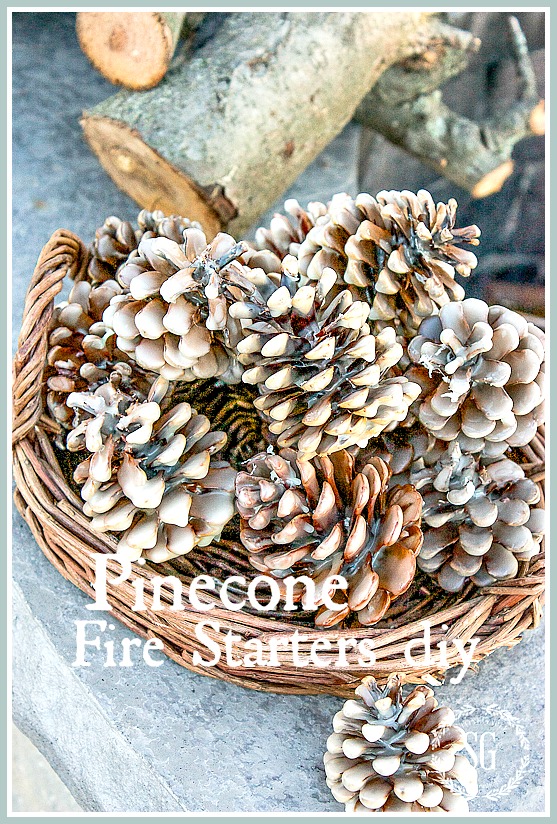 PINECONE FIRE STARTERS DIY