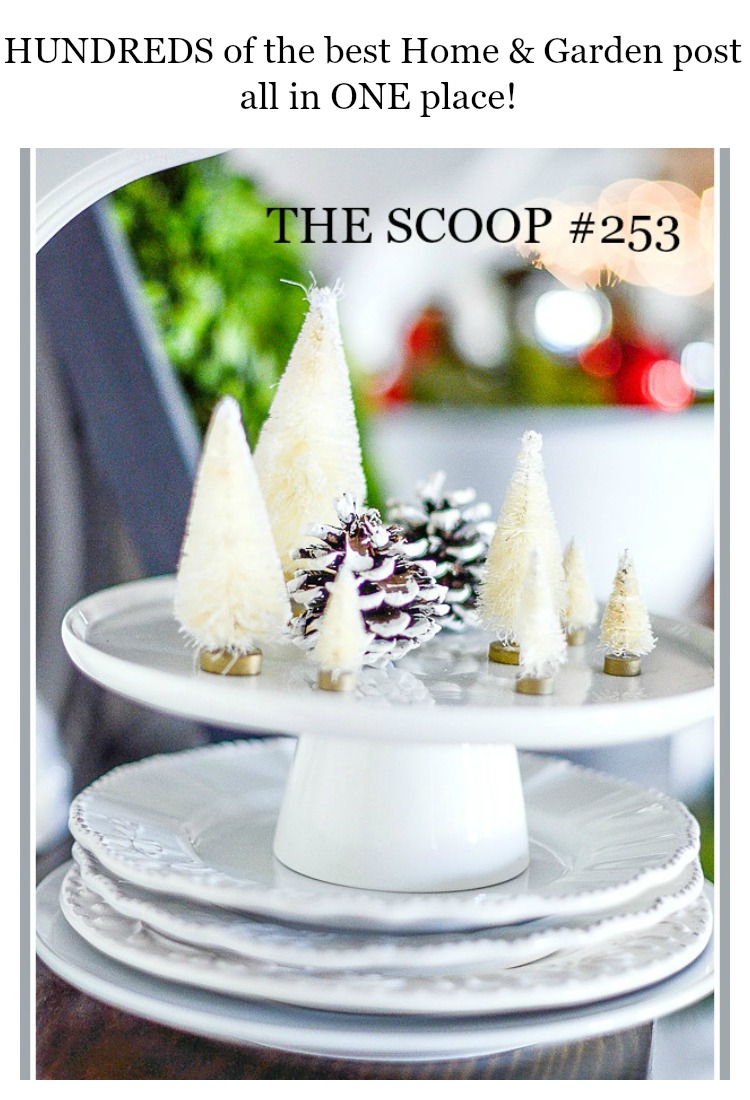 THE SCOOP #253- We compiled hundreds of the best home and garden post on the web. Lots of holiday post too!