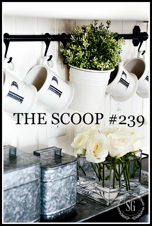 THE SCOOP #259