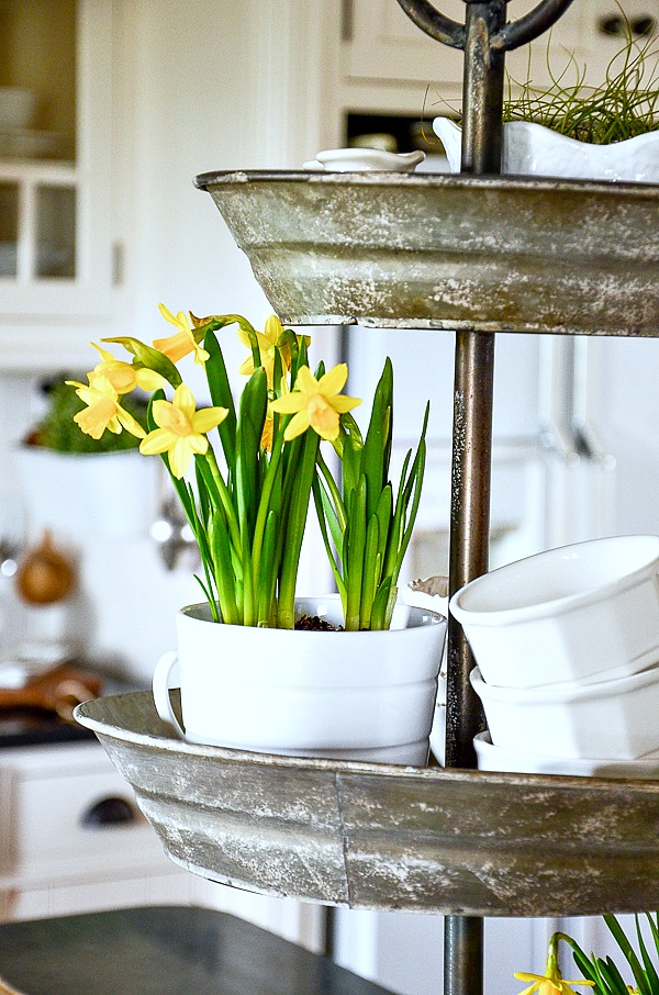 SPRING KITCHEN- How do you decorate your kitchen in the spring! Adding bits of what's right outside my door!