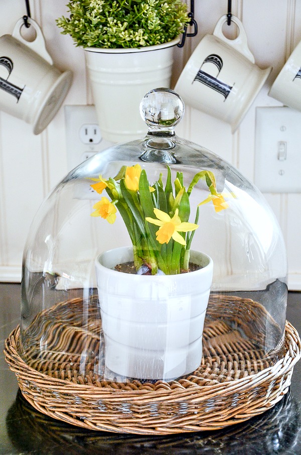 SPRING KITCHEN- How do you decorate your kitchen in the spring! Adding bits of what's right outside my door!