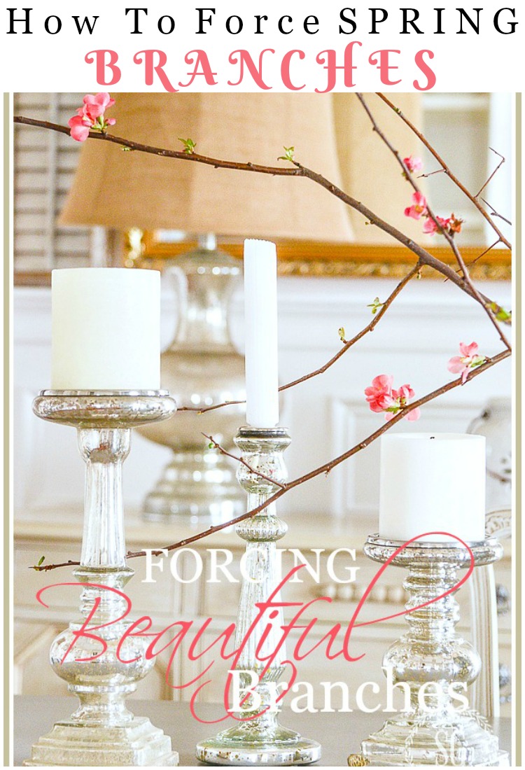 HOW TO FORCE BEAUTIFUL BRANCHES- It's time to force budding branches indoors. It's easy! Here's how!