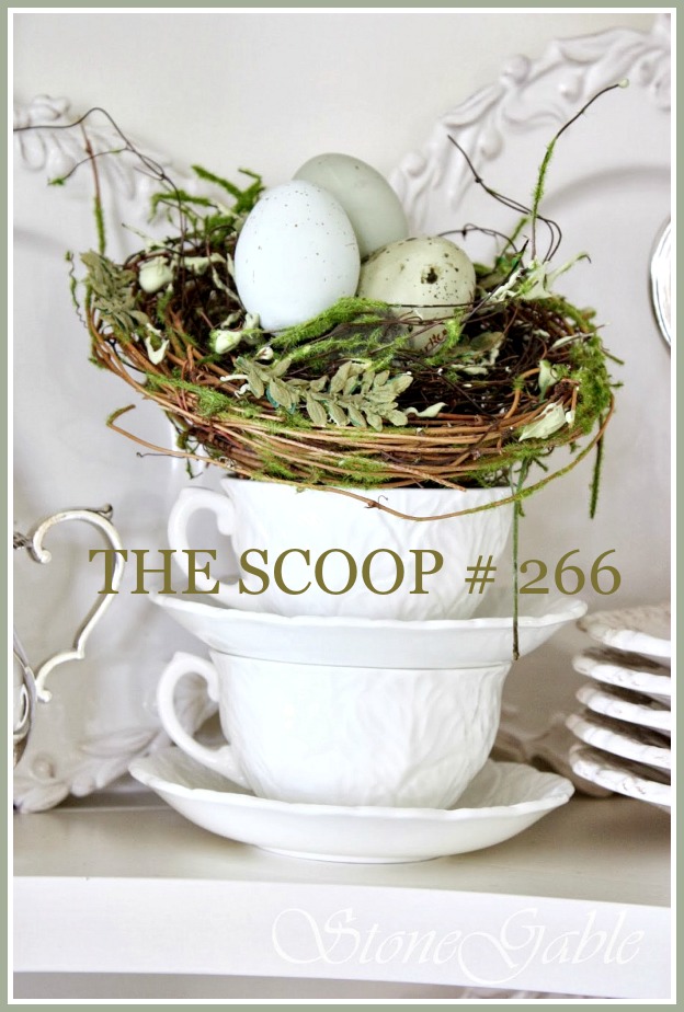 THE SCOOP #266