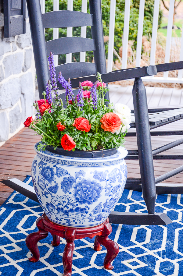 POP OF COLOR GARDENING- Spring is the time to add a big POP of fun color to your patio, porch and garden.