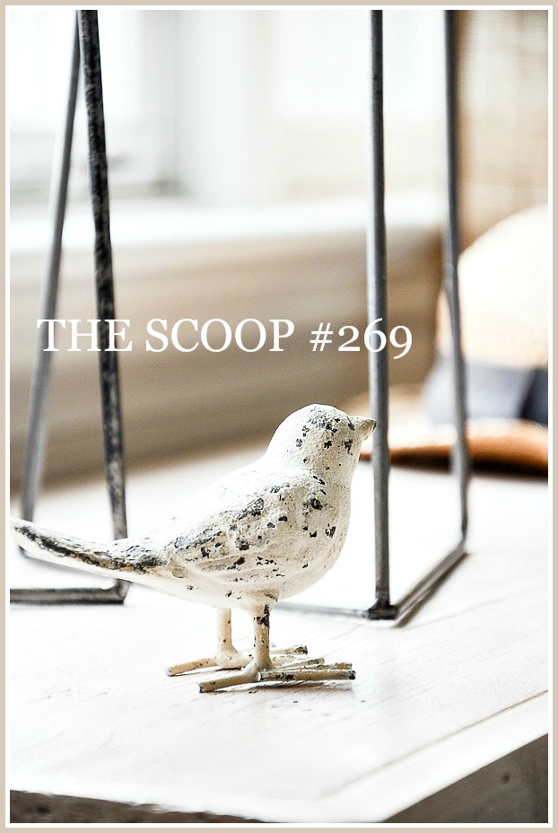 THE SCOOP #269-The best of the home and garden blogs all in one place!