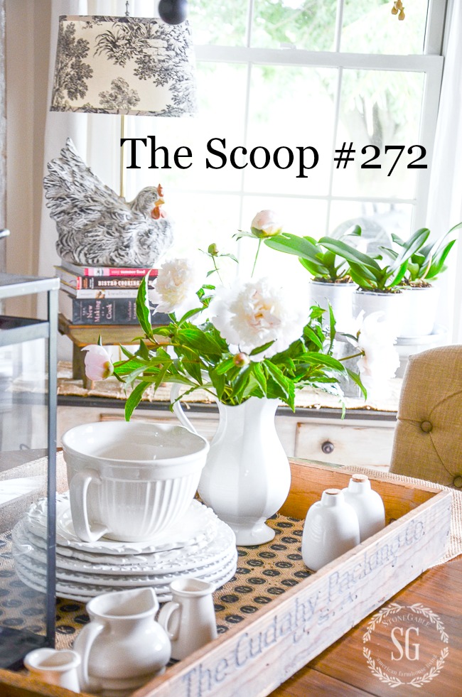 THE SCOOP #272