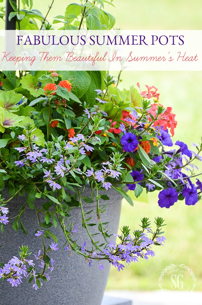 FABULOUS SUMMER POTS… HOW TO KEEP THEM BEAUTIFUL IN SUMMER HEAT!