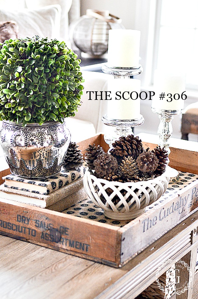 THE SCOOP #307