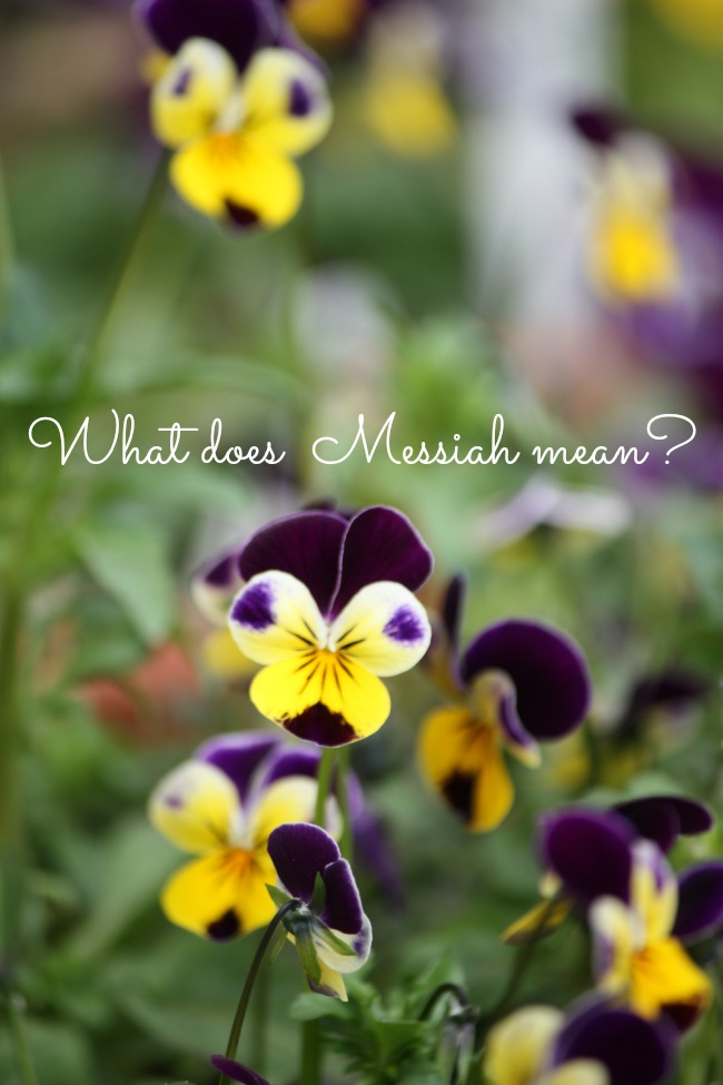 WHAT DOES MESSIAH MEAN?