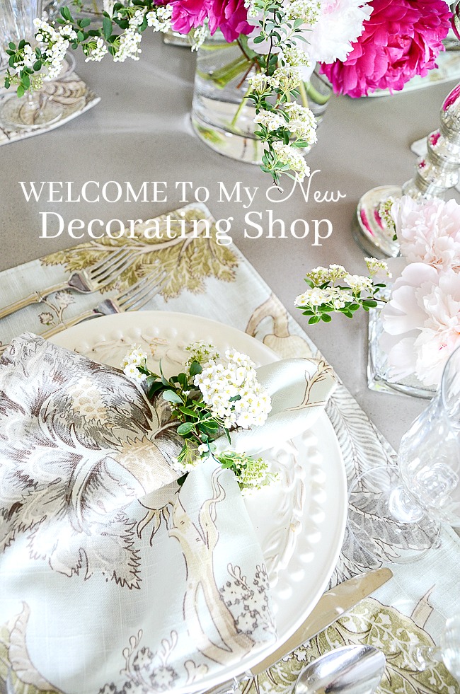 WELCOME TO MY NEW DECORATING SHOP!
