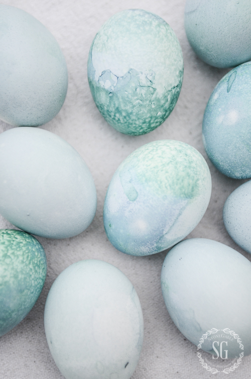 BEAUTIFUL NATURALLY DYED BLUE EGGS