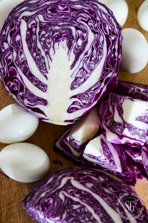 red cabbage to dye blue easter eggs