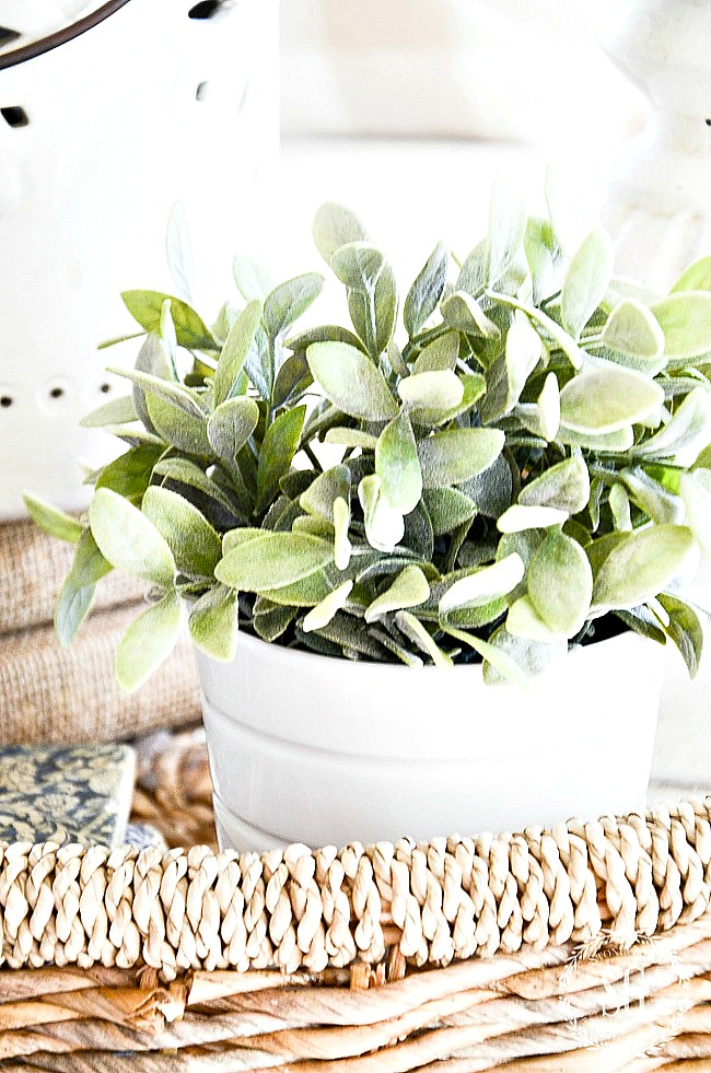faux green plant in a white container