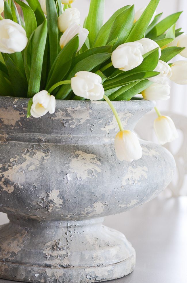 HOW TO CARE FOR CUT TULIPS